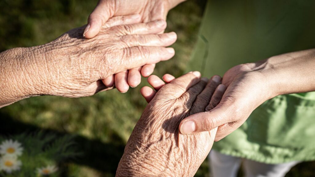 אילו סוגים של בתי אבות קיימים ומהם ההבדלים בין המוסדות השונים - חיה רמתי